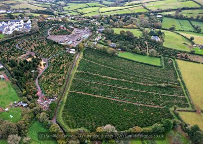 Marldon Christmas Tree Farm - Sunrider Drones